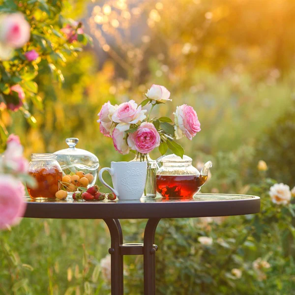 Hacci Herbal Tea - Image 4