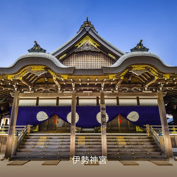 Hacci Honey Local Loquat - Image 5