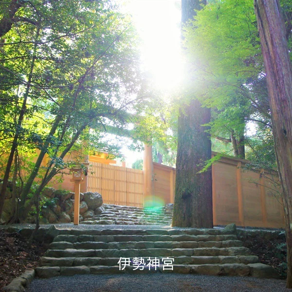 Hacci Honey Local Loquat - Image 6