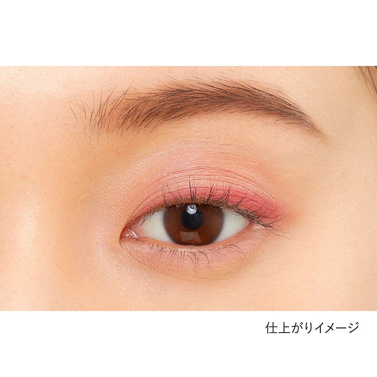 Kanebo Eye Color Duo - Image 22