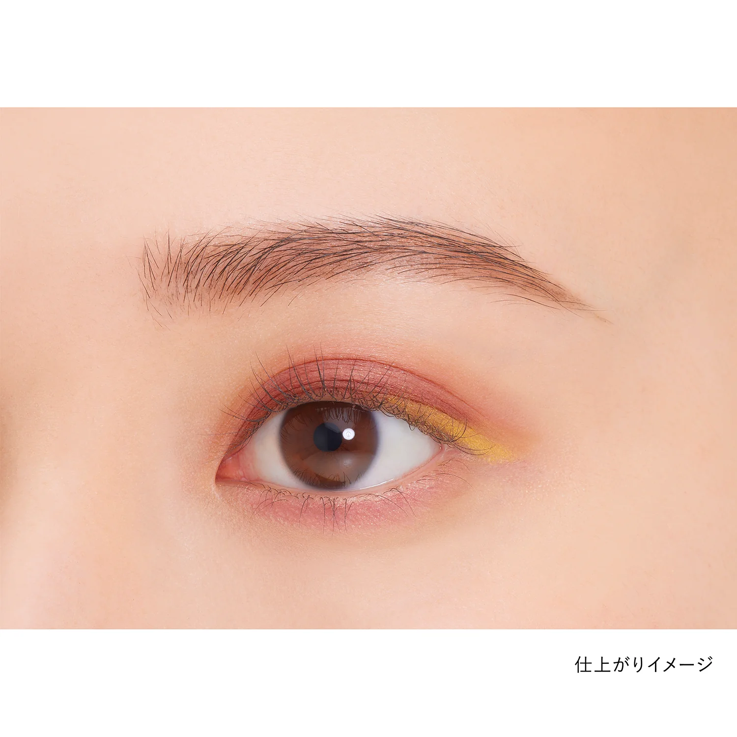 Kanebo Eye Color Duo - Image 45