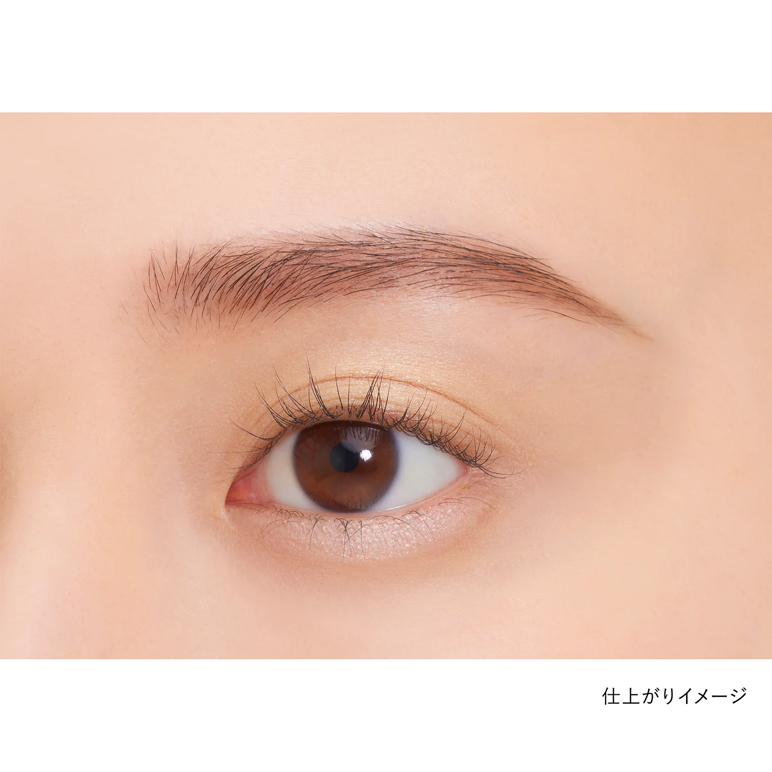 Kanebo Eye Color Duo - Image 48