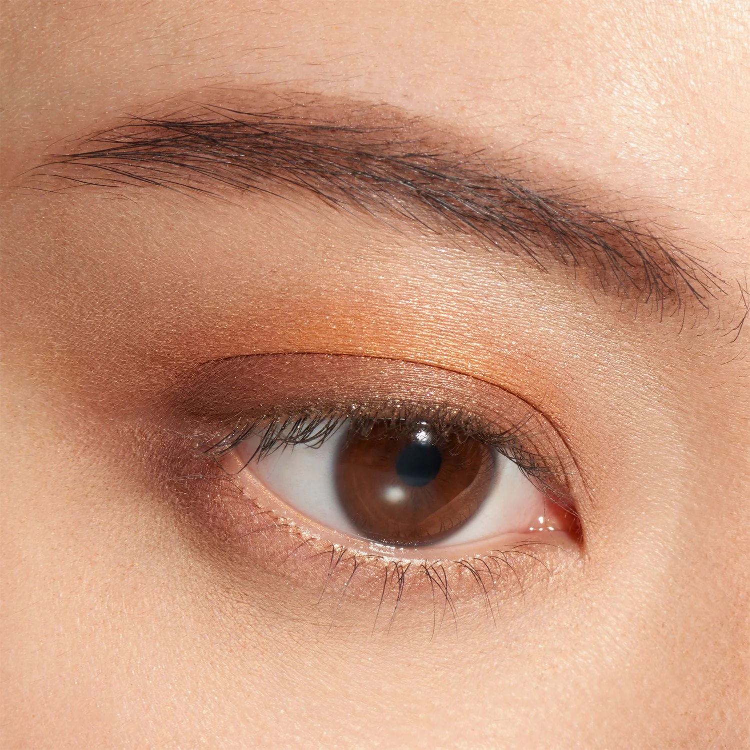Lunasol Eye Coloration - Image 12