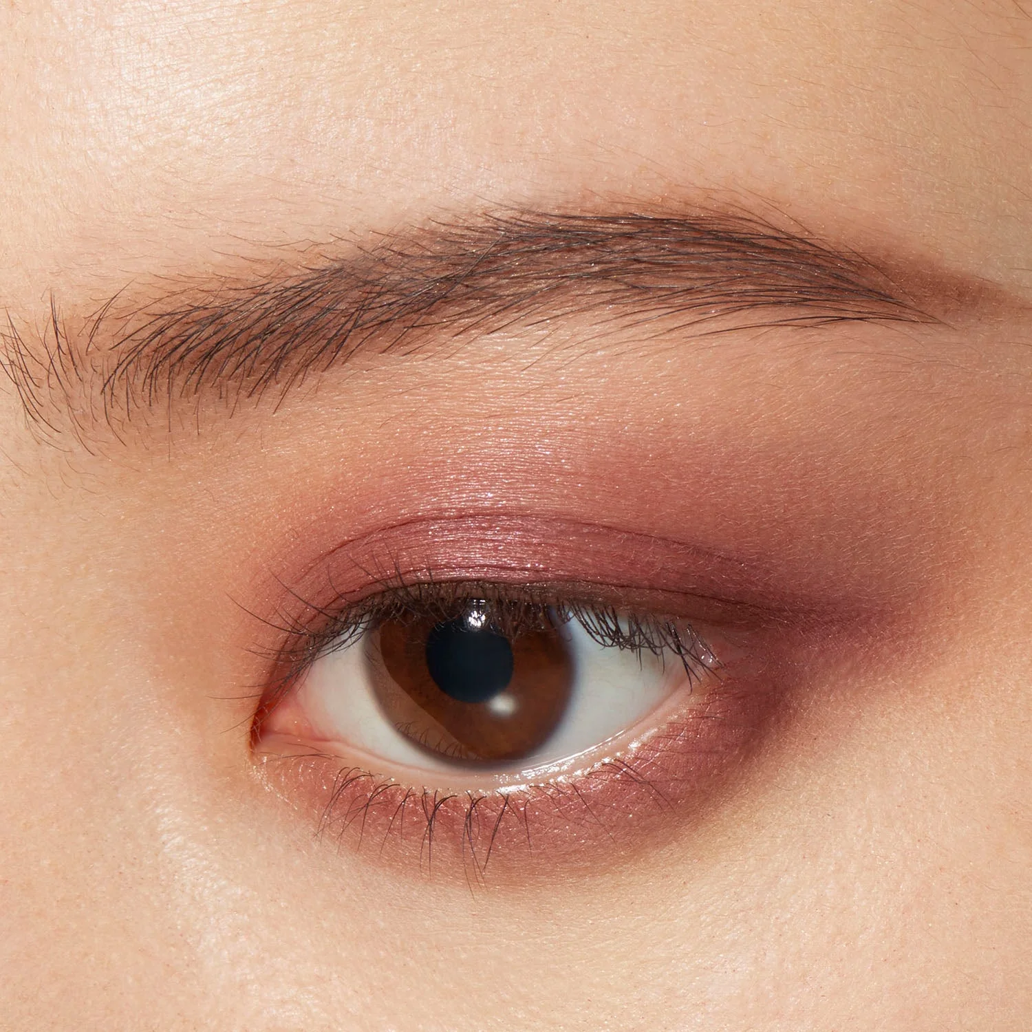 Lunasol Eye Coloration - Image 18