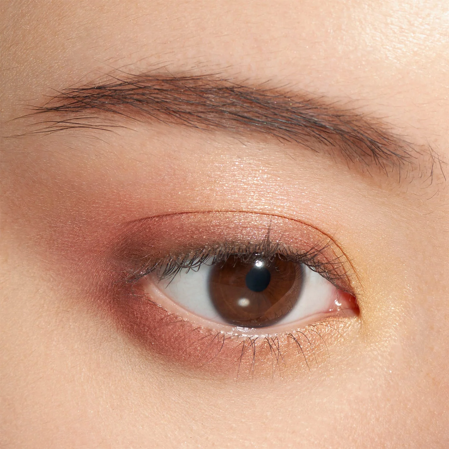 Lunasol Eye Coloration - Image 24