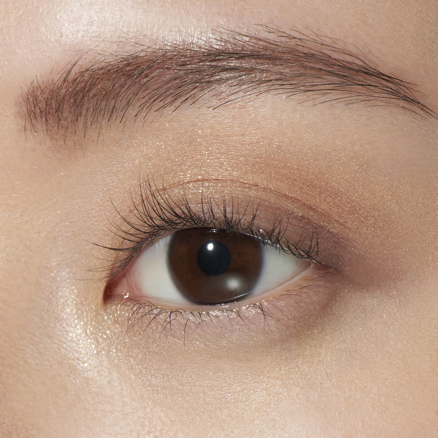 Lunasol Eye Coloration - Image 56