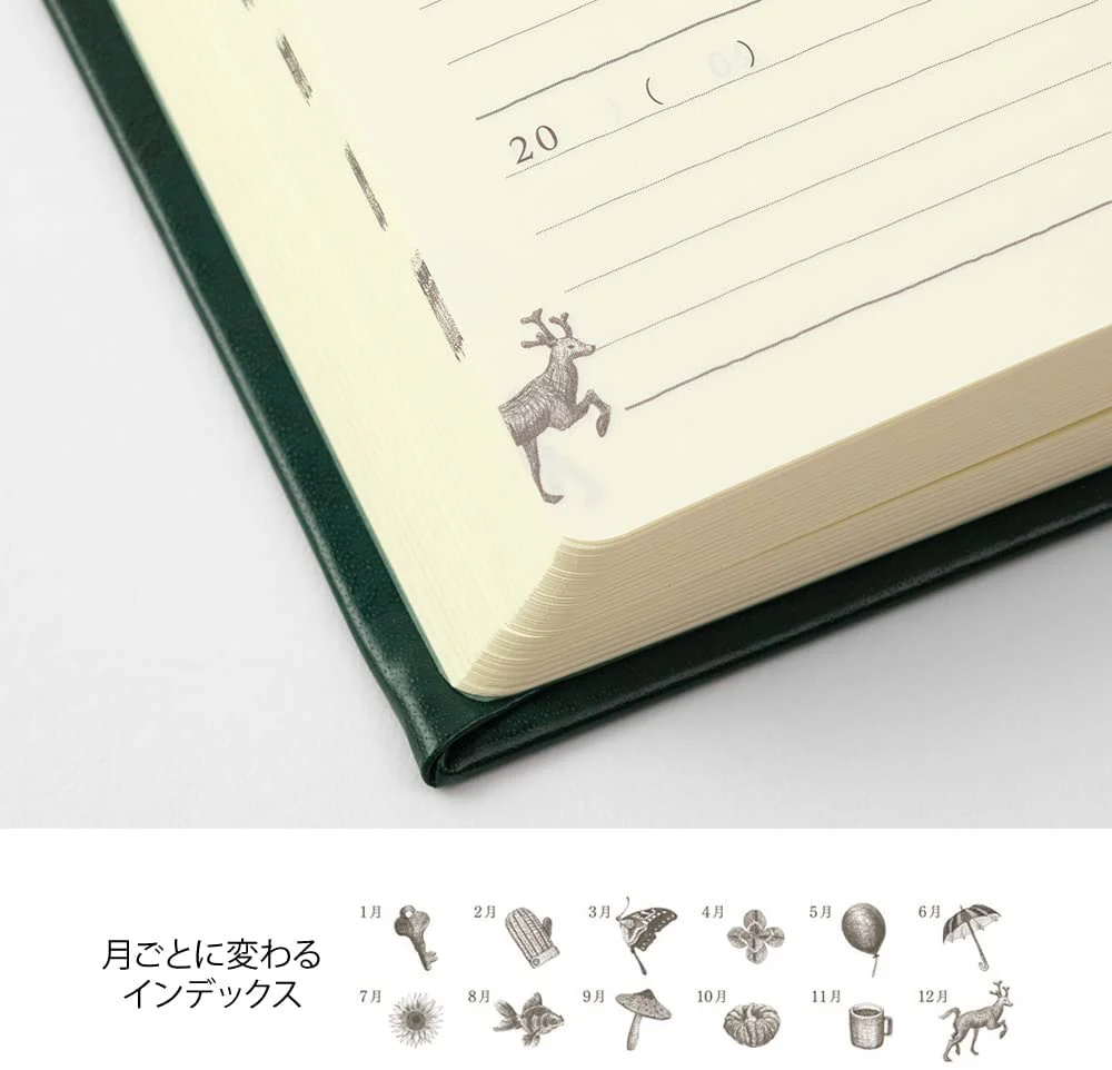 Midori Dairy 5 Years - Image 8