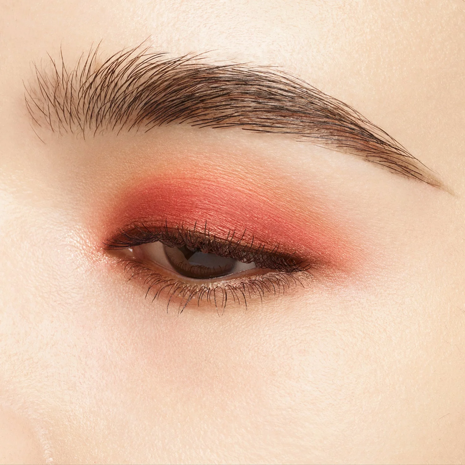 Suqqu Signature Color Eyes - Image 10