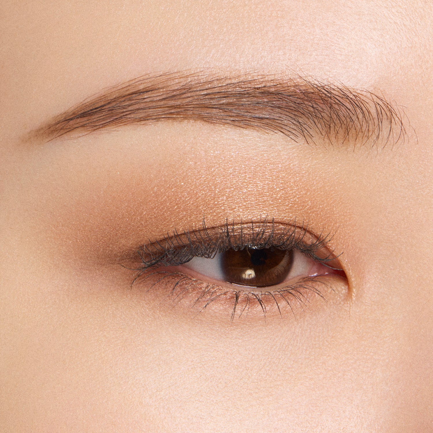 Suqqu Signature Color Eyes - Image 52